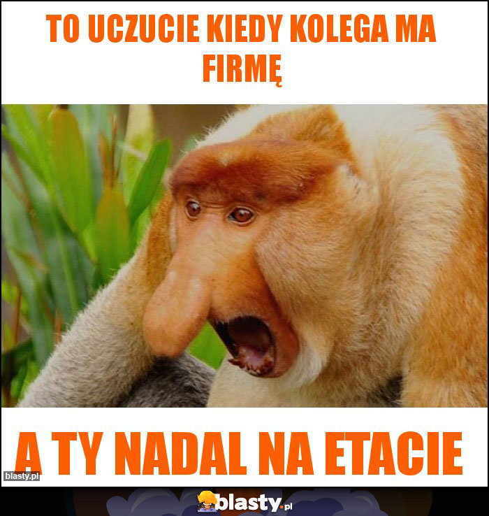 To uczucie kiedy kolega ma firmę