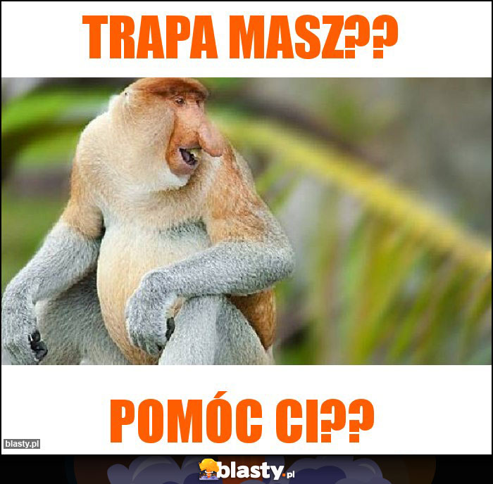 TRAPA MASZ??