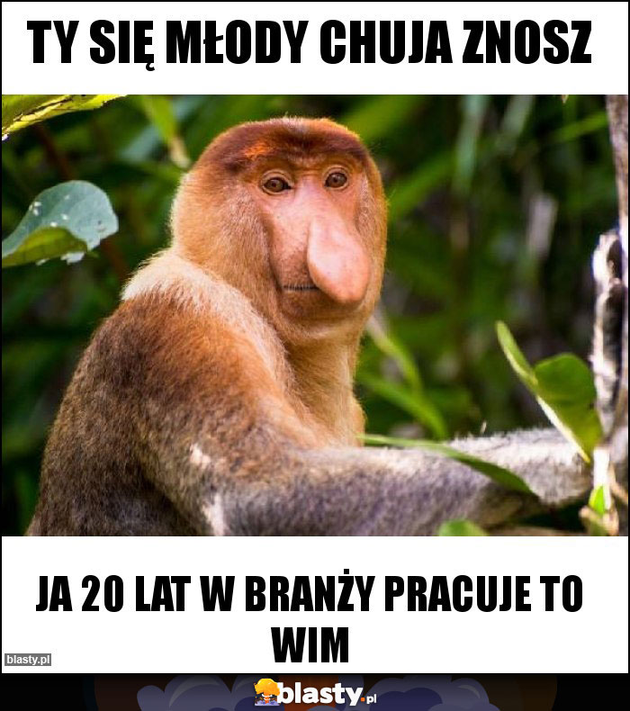 Ty się młody chuja znosz