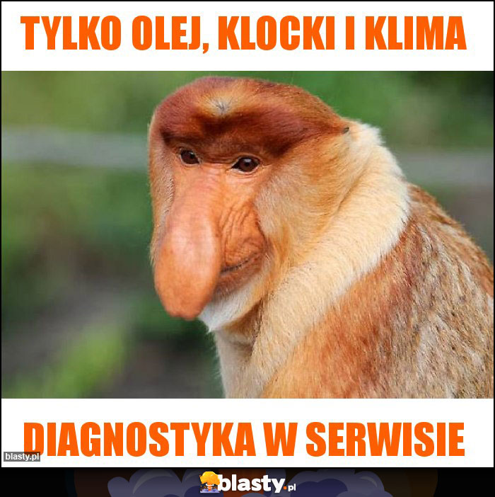 Tylko olej, klocki i klima