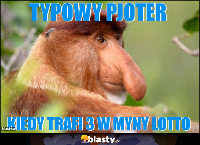 Typowy Pjoter