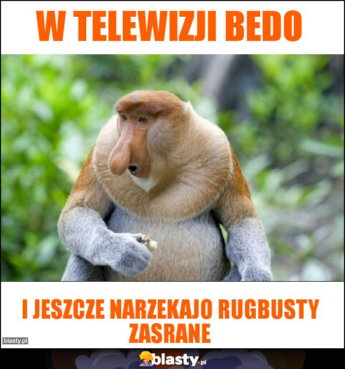 W telewizji bedo