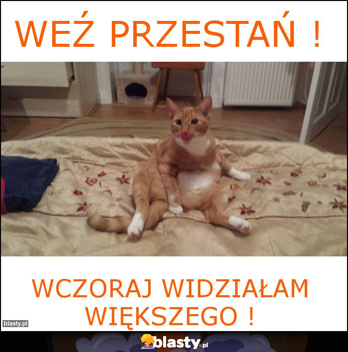 Weź przestań !