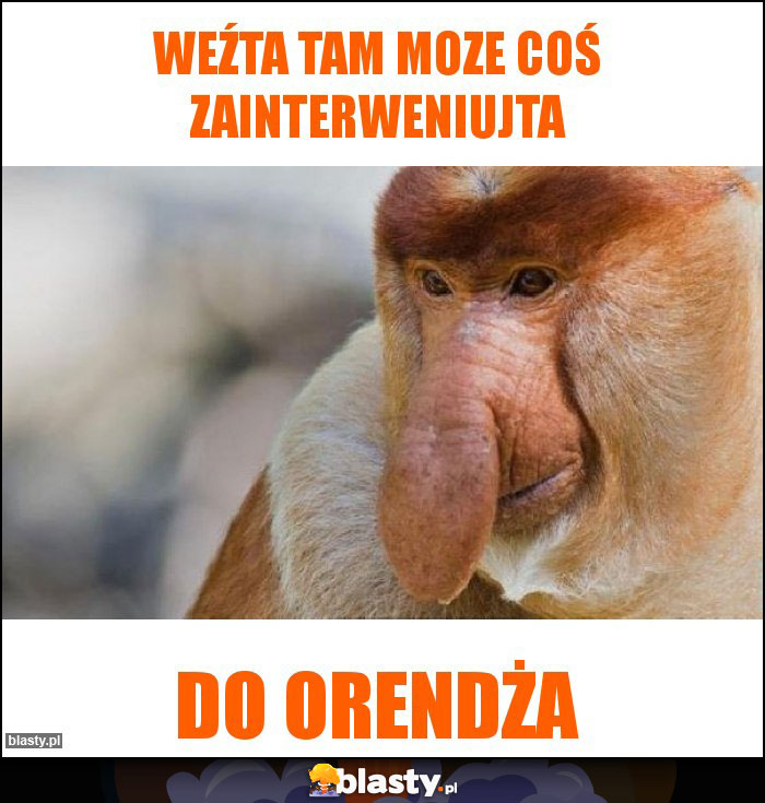 Weźta tam moze coś zainterweniujta