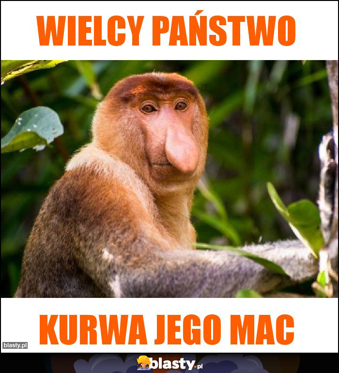 Wielcy państwo