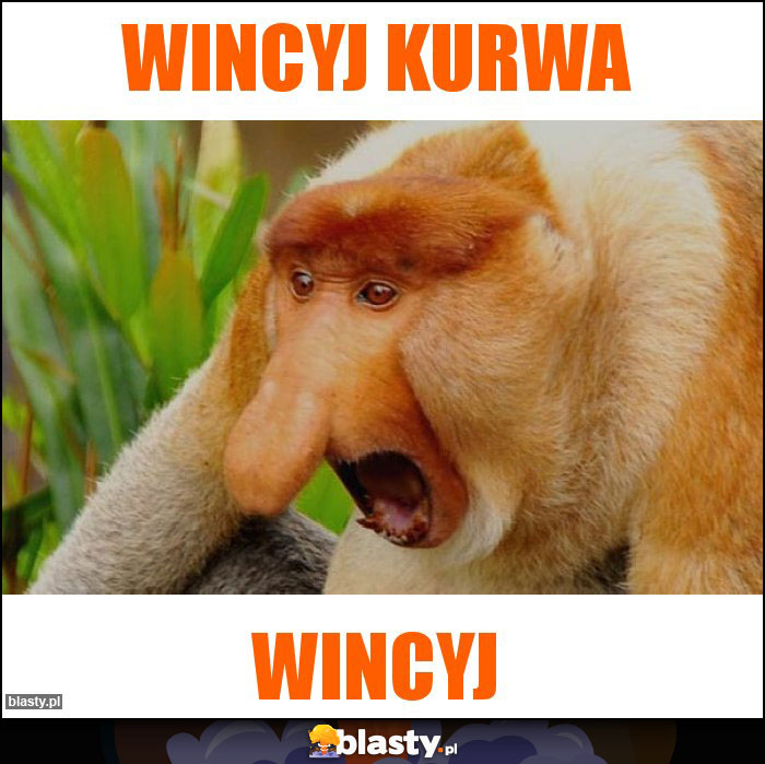 wincyj KURWA