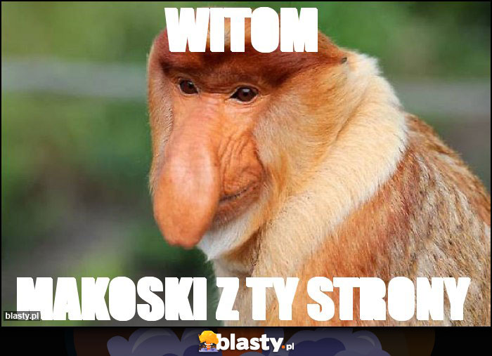 Witom