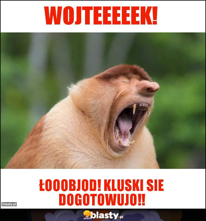 Wojteeeeek!