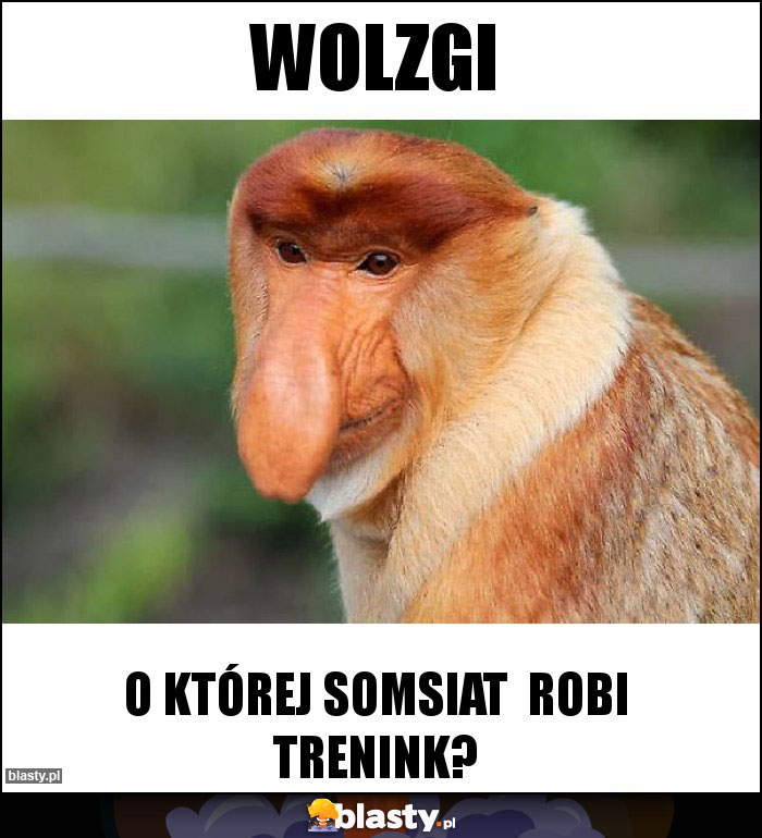 WOLZGI