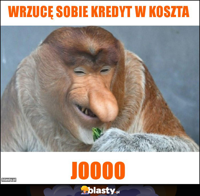 Wrzucę sobie kredyt w koszta