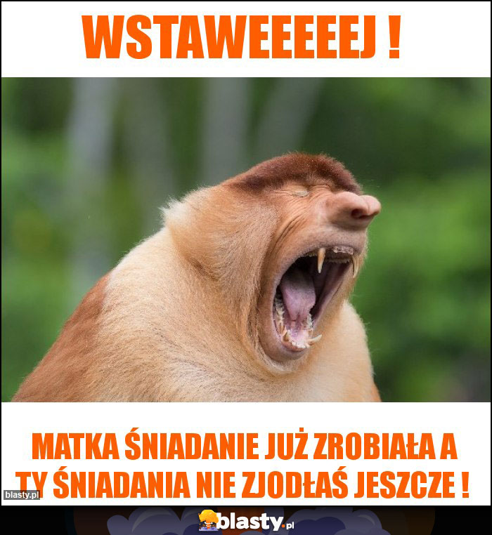 Wstaweeeeej !