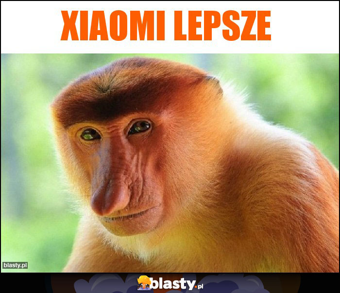 Xiaomi lepsze