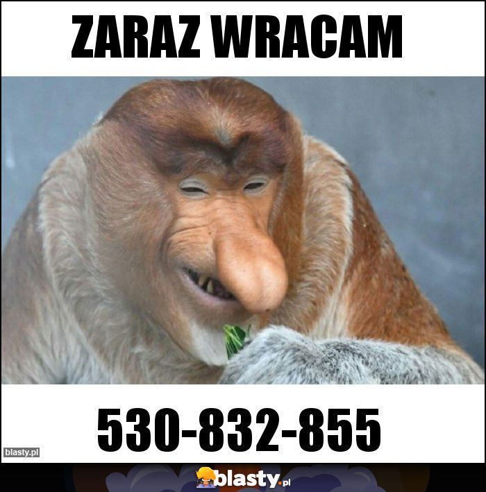 ZARAZ WRACAM