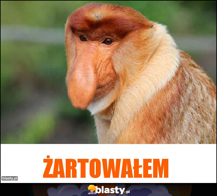 Żartowałem