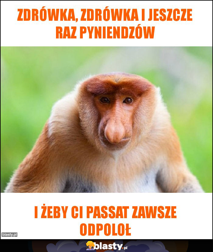 Zdrówka, zdrówka i jeszcze raz pyniendzów