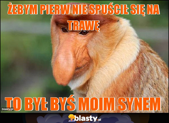 Żebym pierw nie spuścił się na trawę