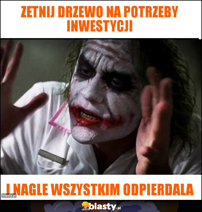 Zetnij drzewo na potrzeby inwestycji