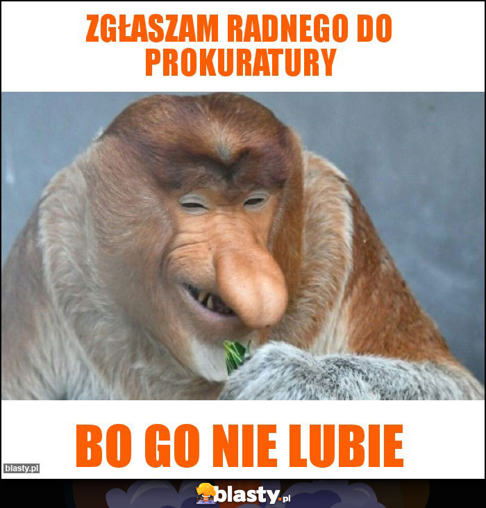 Zgłaszam radnego do prokuratury