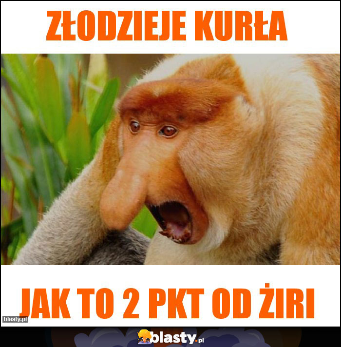 złodzieje kurła