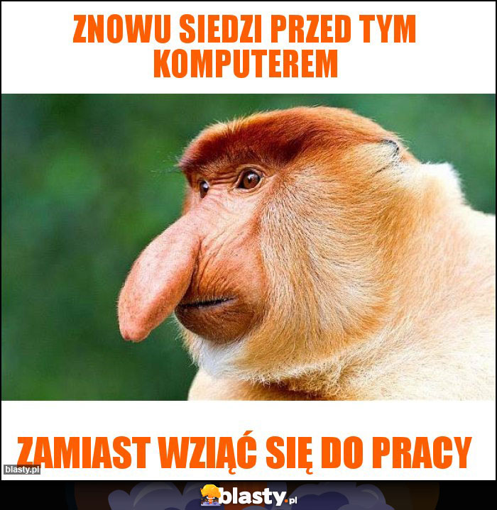 Znowu siedzi przed tym komputerem