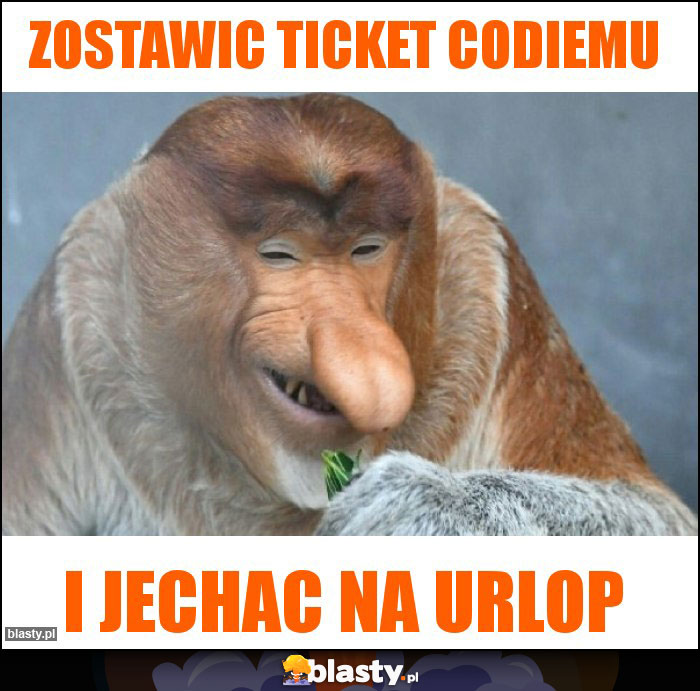 ZOSTAWIC TICKET CODIEMU