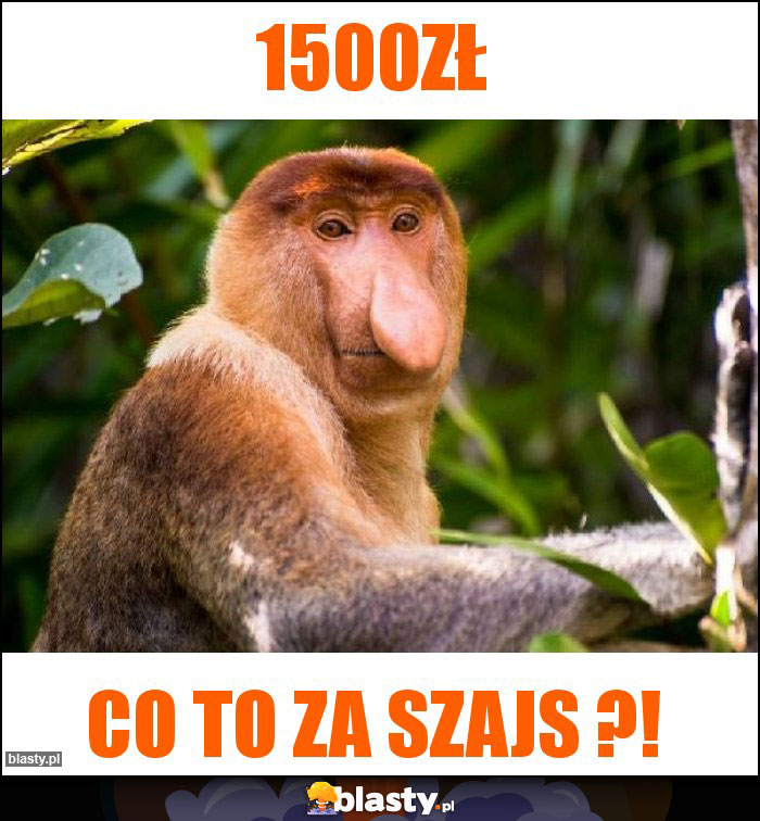 1500zł