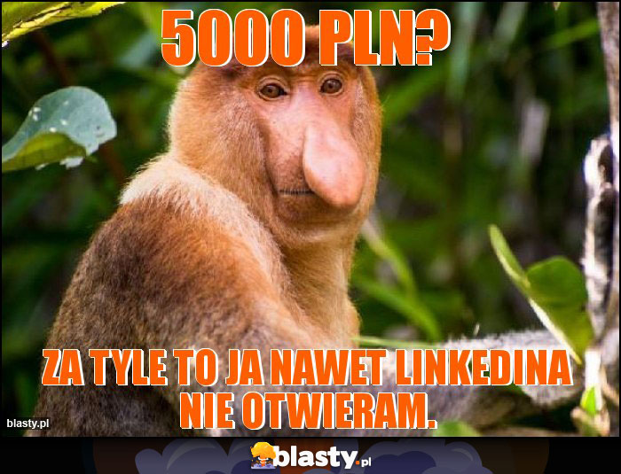 5000 PLN?