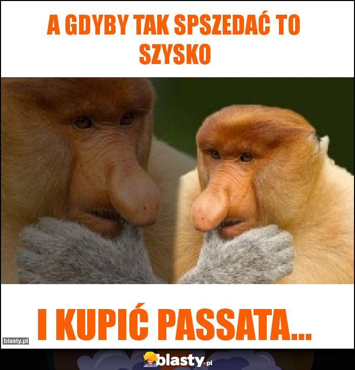 a gdyby tak spszedać to szysko