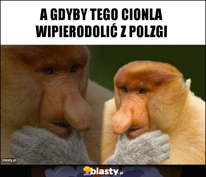 A gdyby tego cionla wipierodolić z polzgi