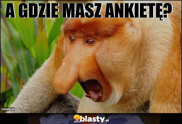 A gdzie masz ankietę?