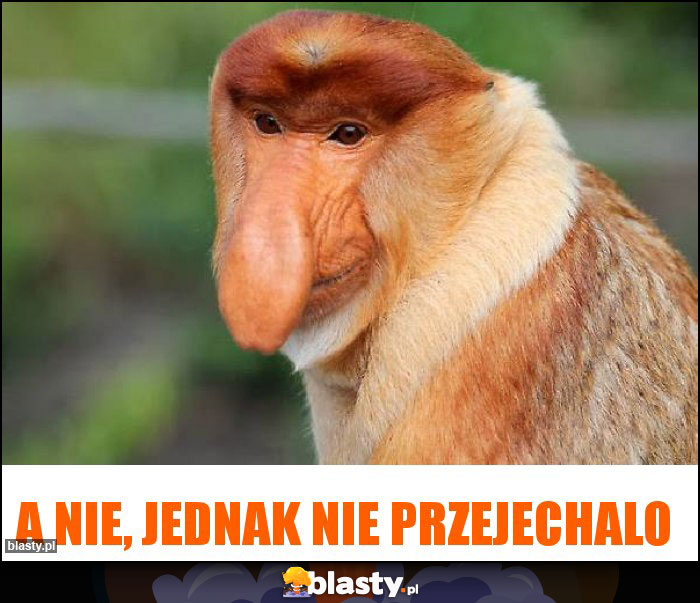 A nie, jednak nie przejechalo