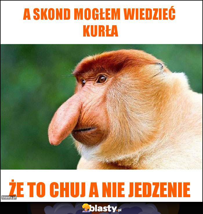 A skond mogłem wiedzieć kurła