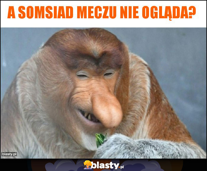 A SOMSIAD MECZU NIE OGLĄDA?