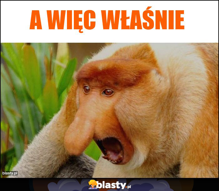 A więc właśnie