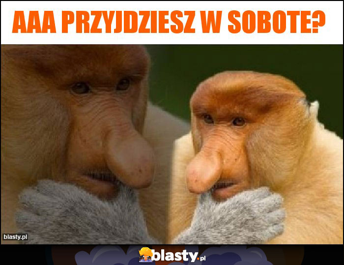 aaa przyjdziesz w sobote?