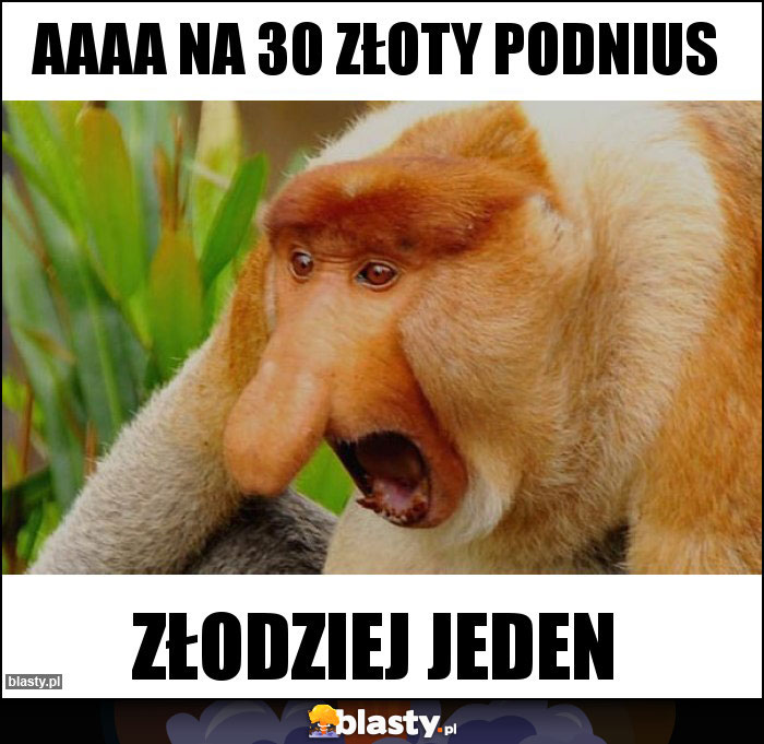 aaaa na 30 złoty podnius