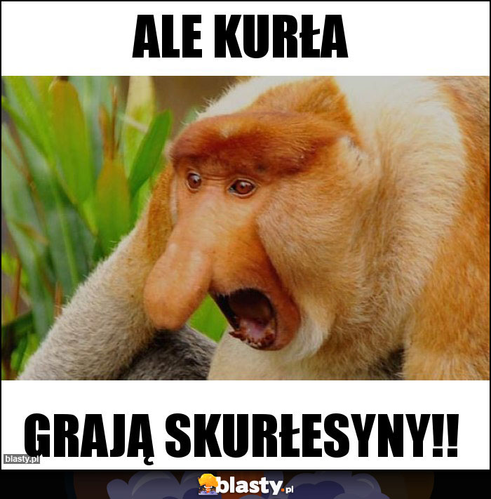 ALE KURŁA