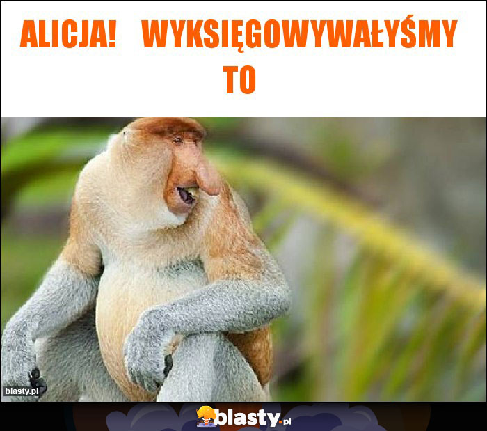 Alicja!    Wyksięgowywałyśmy to