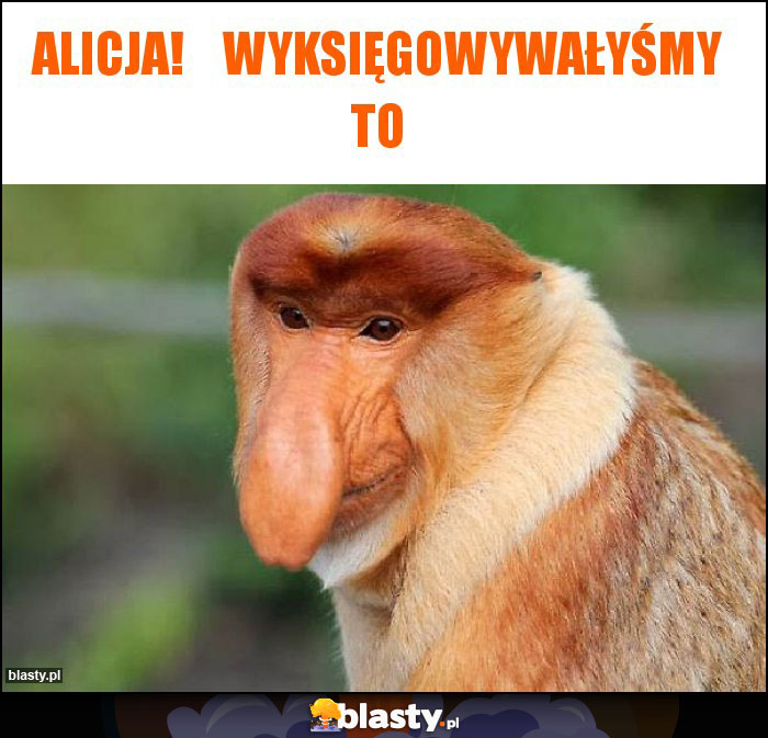 Alicja!    Wyksięgowywałyśmy to