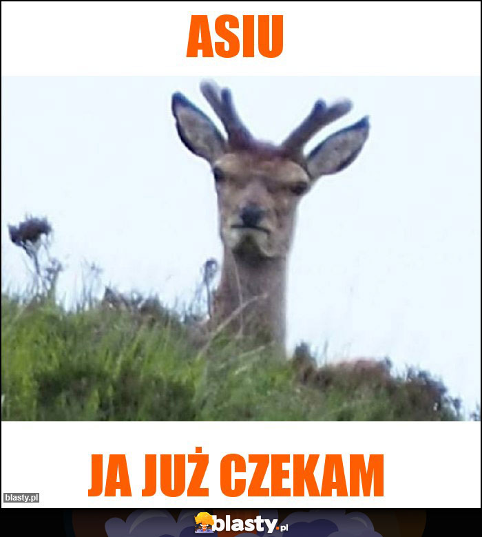 Asiu