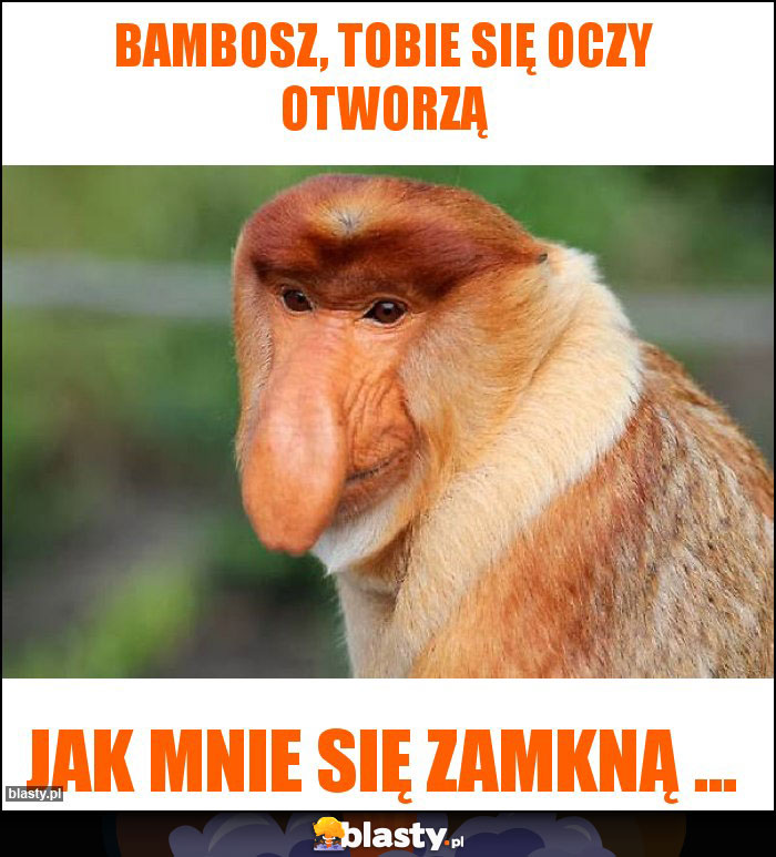 Bambosz, tobie się oczy otworzą