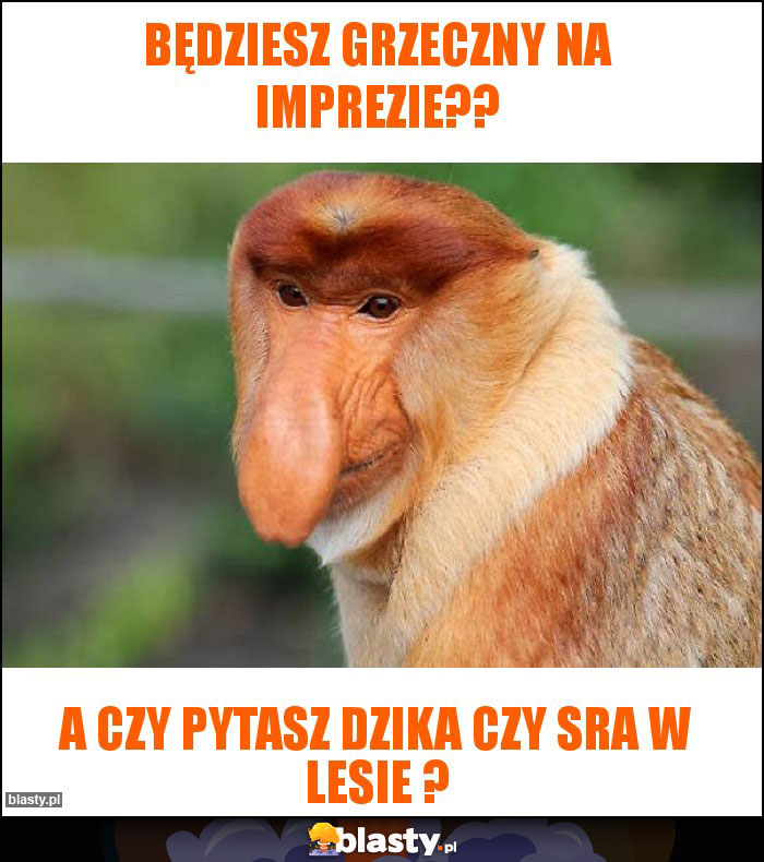 BĘDZIESZ GRZECZNY NA IMPREZIE??