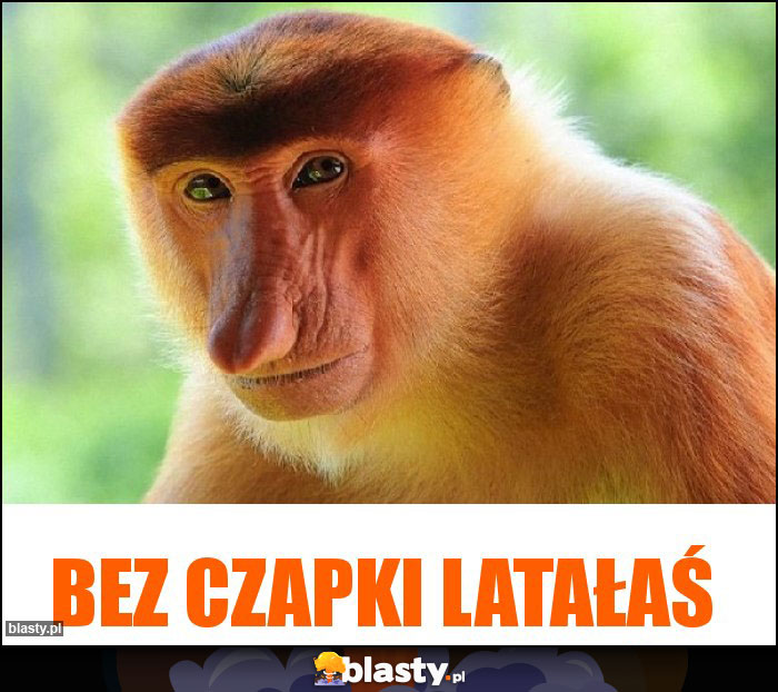 Bez czapki latałaś