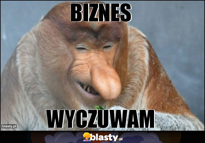 BIZNES