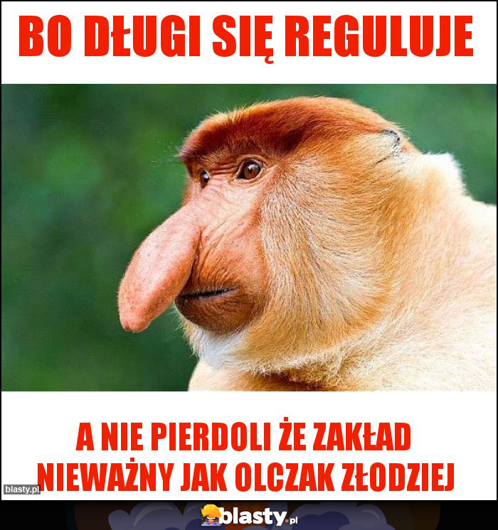 Bo długi się reguluje