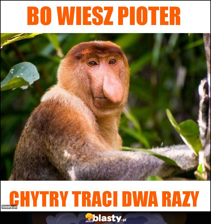 Bo wiesz Pioter