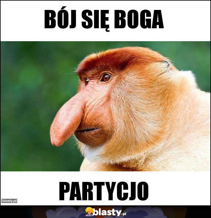 Bój się boga