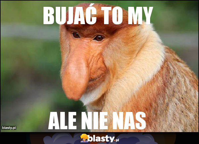 BUJAĆ TO MY