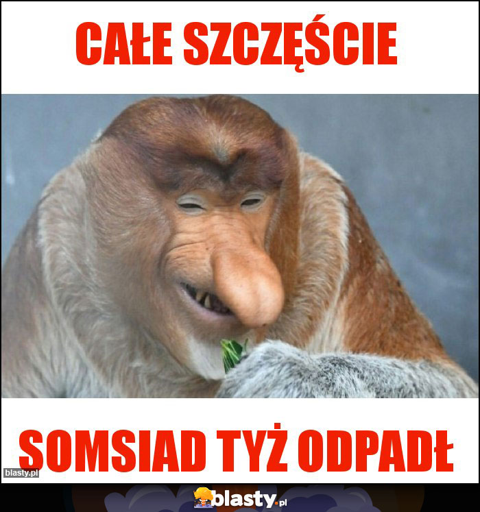 Całe szczęście