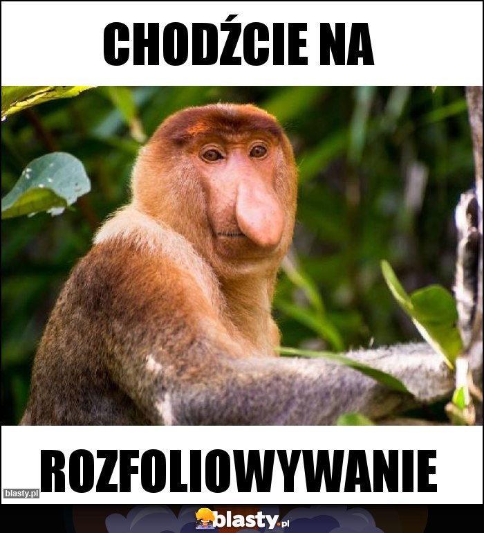 Chodźcie na